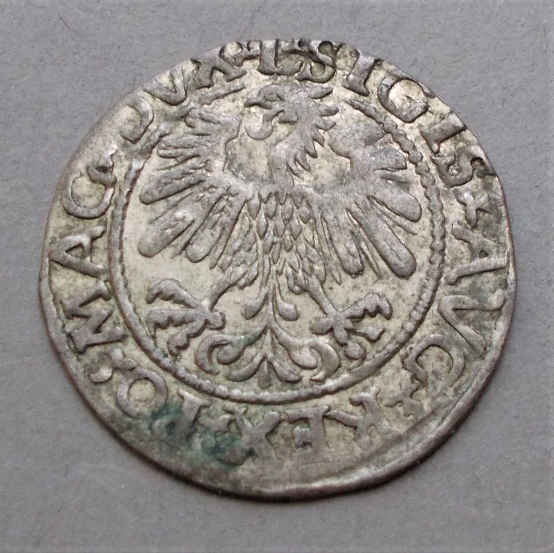 1560-Lithuania-Halfgroat